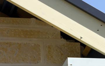 soffit repair Worthen