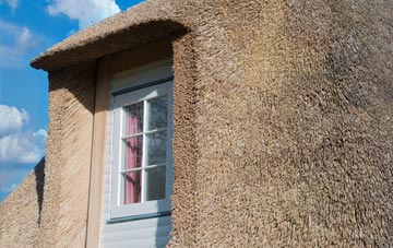 Worthen thatch roof disadvantages